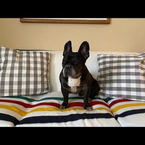 Meet your Posher, Jenna